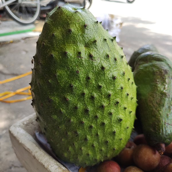 Mãng cầu gai